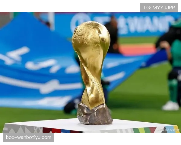 2026世界杯美国队主场比赛城市有哪些